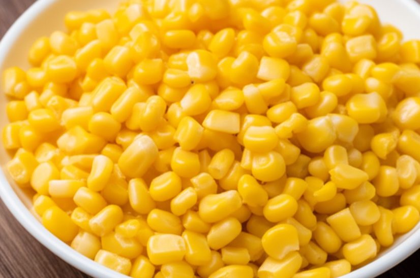 A clean white bowl of cooked corn kernels, showing a safe way dogs can eat corn for its health benefits.